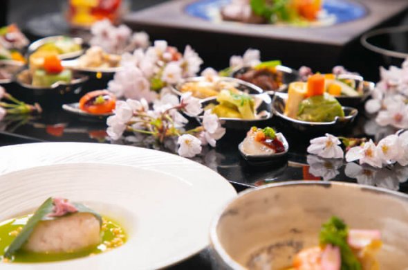 美しい料理の数々