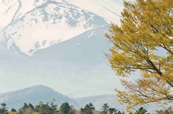 ケニア旅行いつから行ける？最新入国方