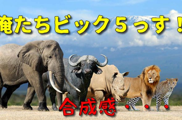 ケニア旅行いつから行ける？最新入国方