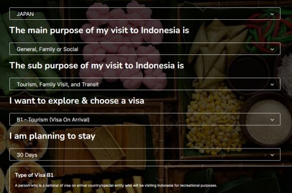 インドネシアアライバルビザWEB申請