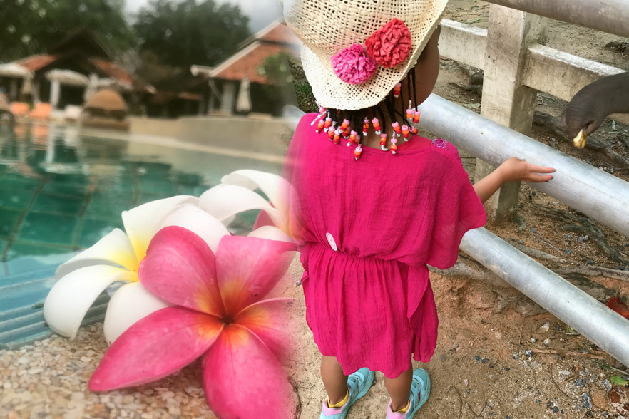 ゾウ乗りなど魅力いっぱいのサムイ島