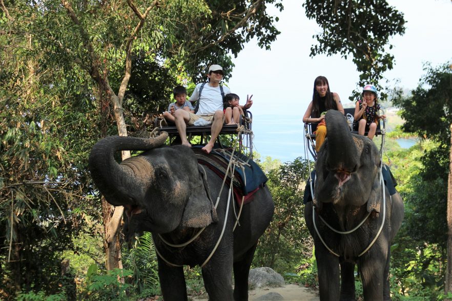 ゾウにも乗ったよ!