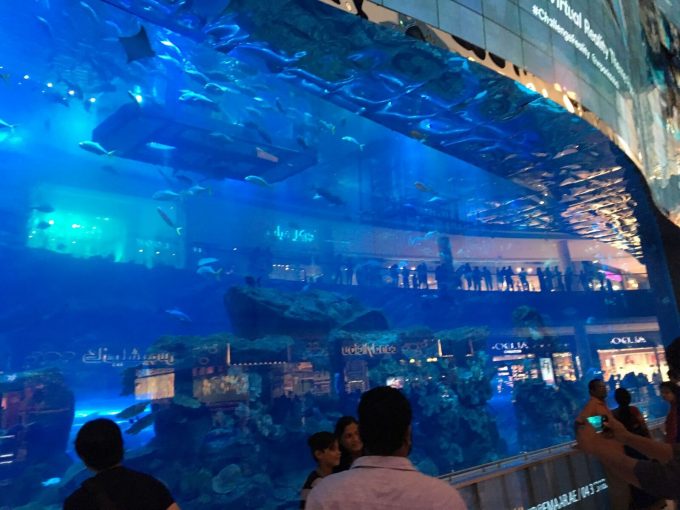 ドバイモールには水族館もありました！