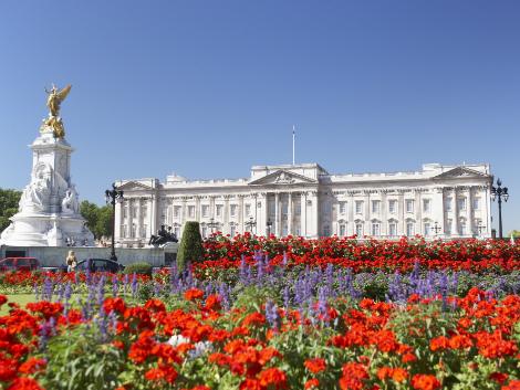 ロンドン：バッキンガム宮殿