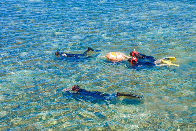 きれいな海をシュノーケリング！