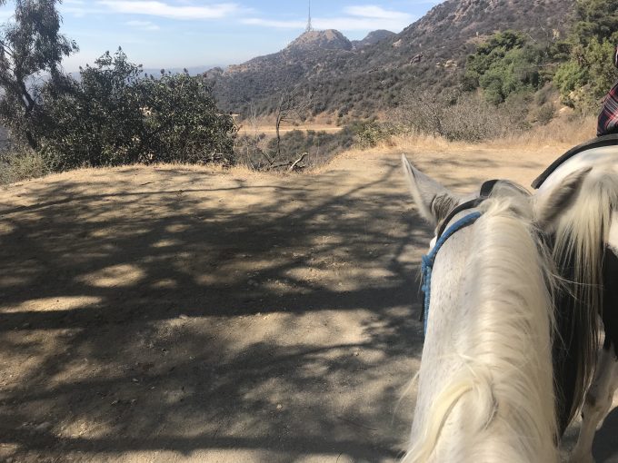 サンセットランチハリウッドの乗馬体験