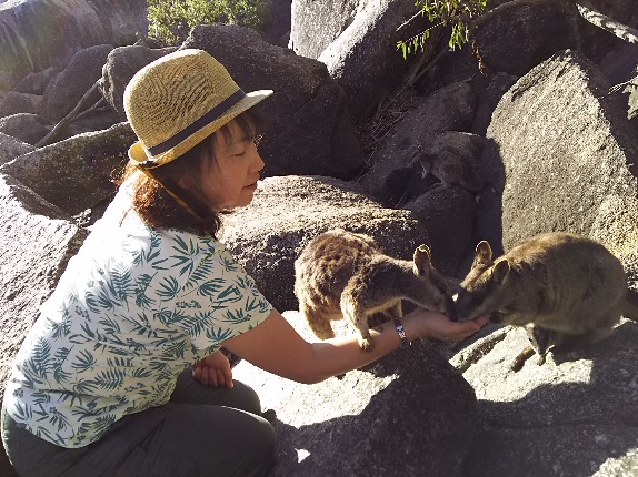 ロックワラビーに餌付け