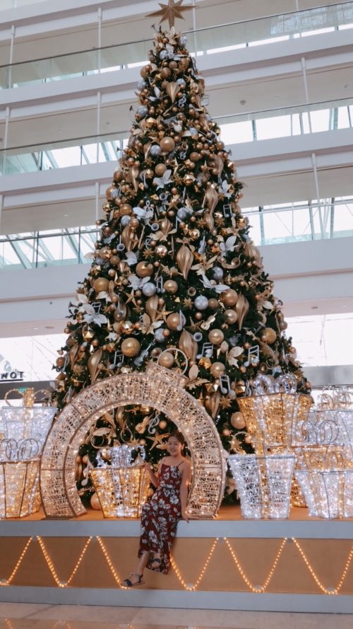 ちょっと気が早い？クリスマスツリー