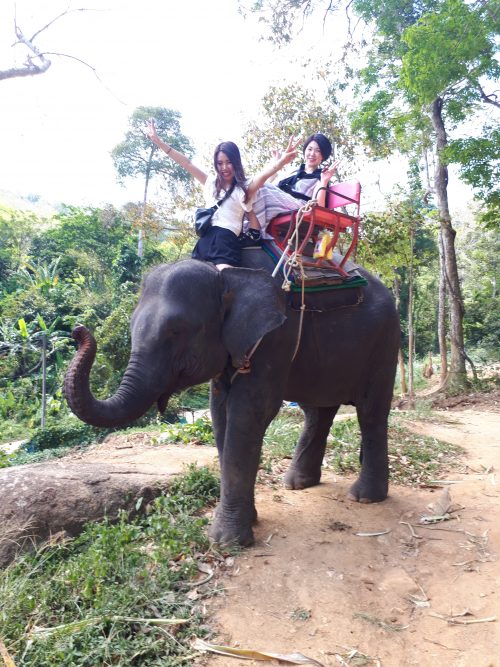 象に乗ってお散歩！