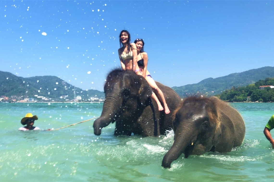 エレファントスイムプーケット2日目