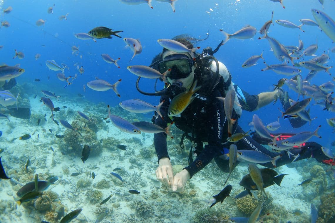 ヒルトゥガン島での体験ダイビング