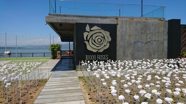 10000 Rosesにて