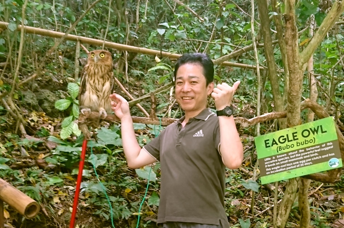 ボホール島でふくろうとふれあいました！