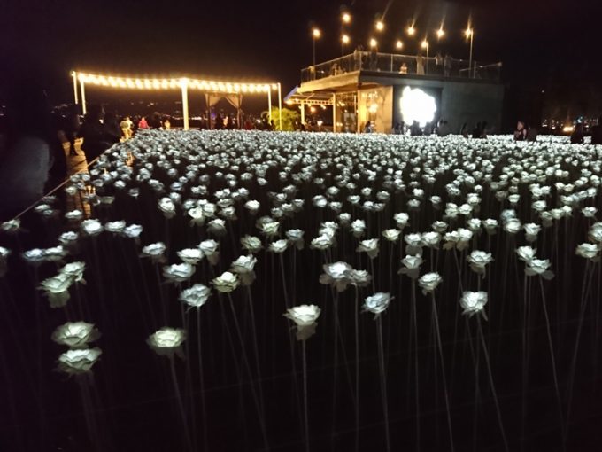 セブ島の新しい観光スポット「一万本のバラ」