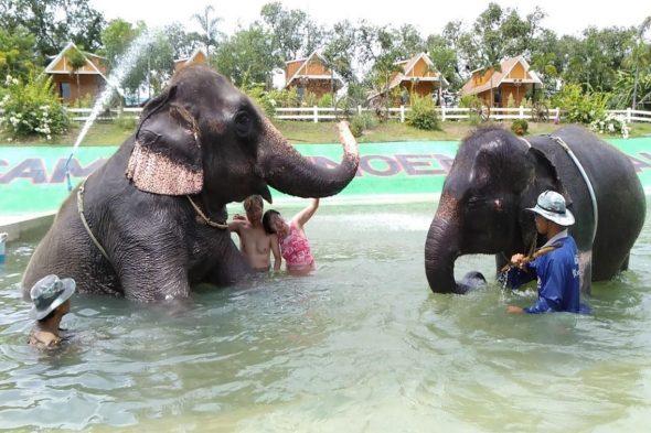 象と一緒に水遊び