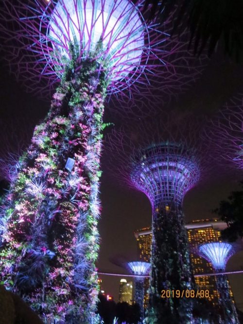 美しい国シンガポール