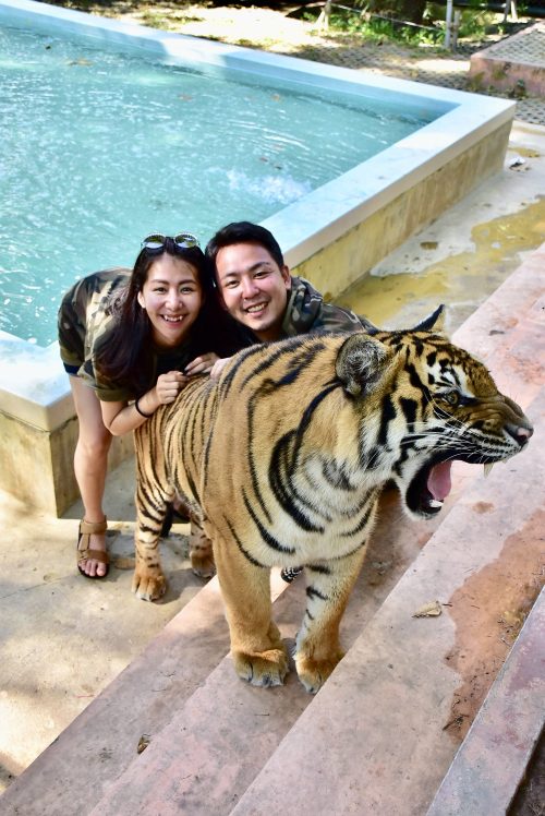 タイガーキングダムで虎と記念撮影！