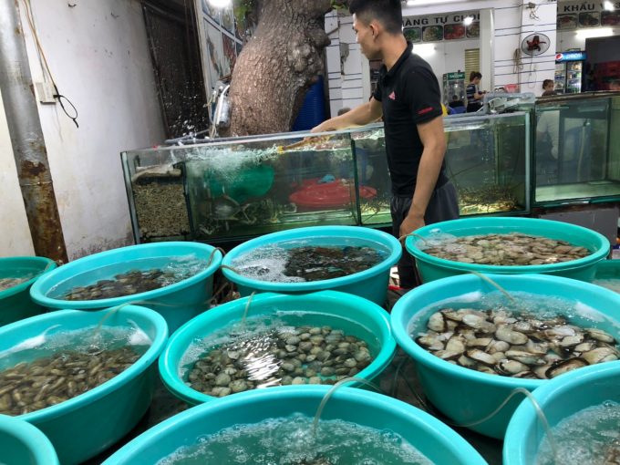 たくさんのたらいに新鮮な魚介類！