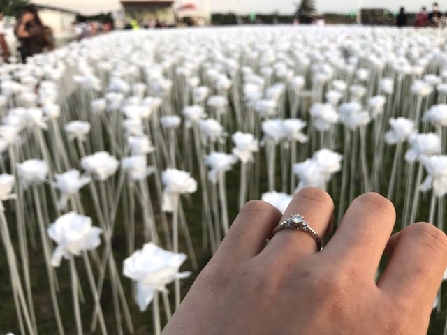 薔薇と指輪