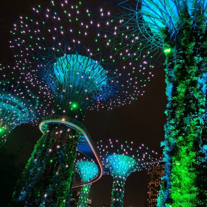 ガーデンズ・バイ・ザ・ベイの夜景