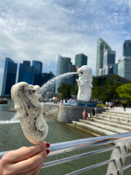 マーライオンのアイスと一緒に撮影