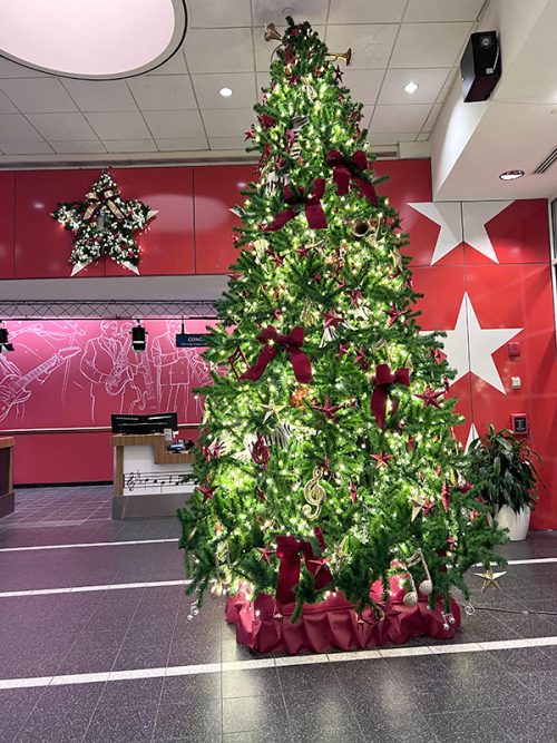 ディズニー・オールスター・ミュージック・リゾートのツリー