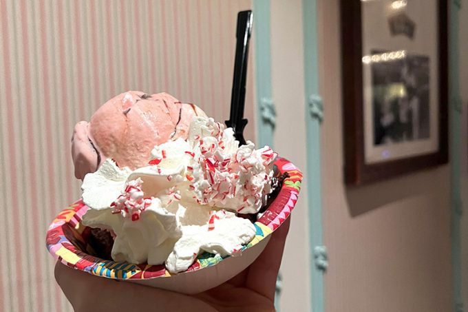 最後の日にマジック・キングダムで食べたアイス