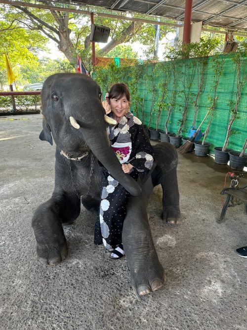 小象と記念撮影、抱きしめてくれました!