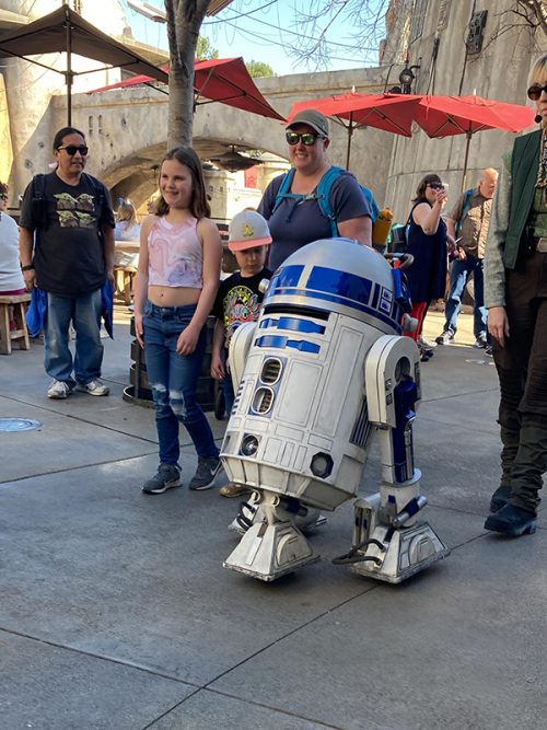 R2-D2を発見！