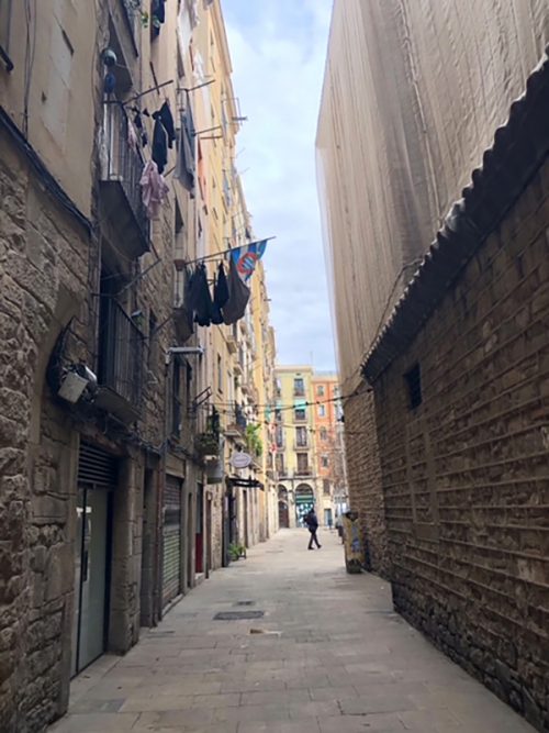 モコ美術館までの小道