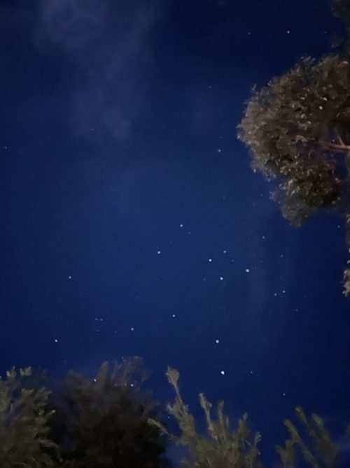 星が大きく見えました！