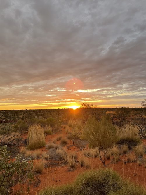美しいサンセット