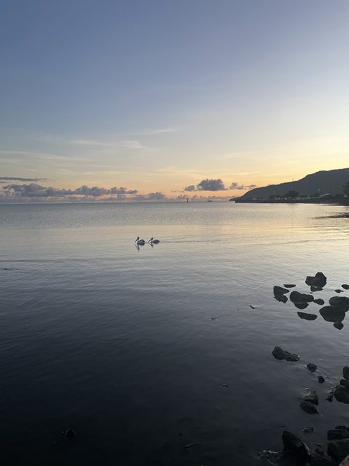 海岸から見た朝焼け