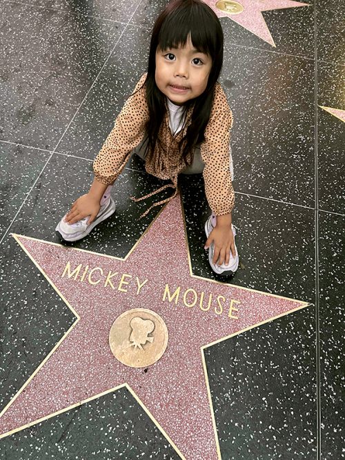 ミッキー・マウスの敷石と!