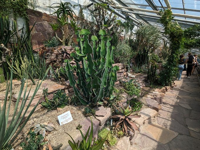 コペンハーゲン植物園