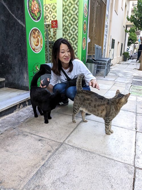 アテネの猫ちゃん