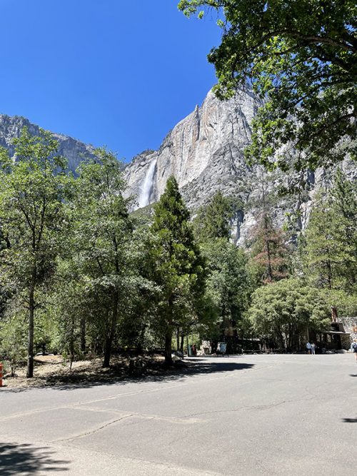 とてもキレイな公園内でした