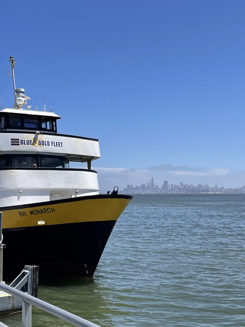 乗船したフェリー