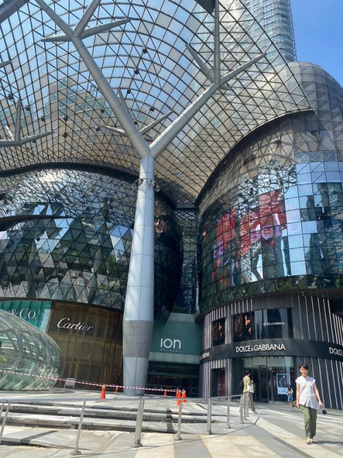 ION Orchard