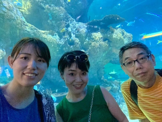 きれいな水族館でした