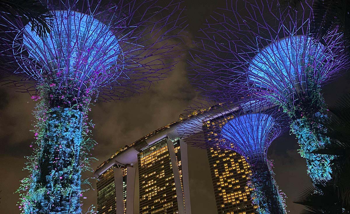 ガーデンズ・バイ・ザ・ベイ越しのマリーナベイ・サンズ