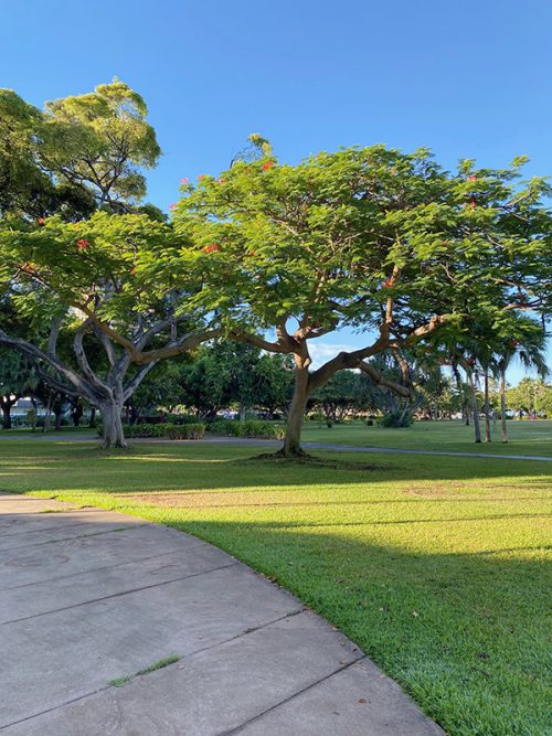 アイナハウ・トライアングル