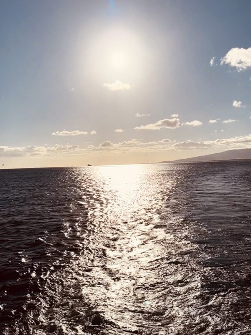 船上からの景色