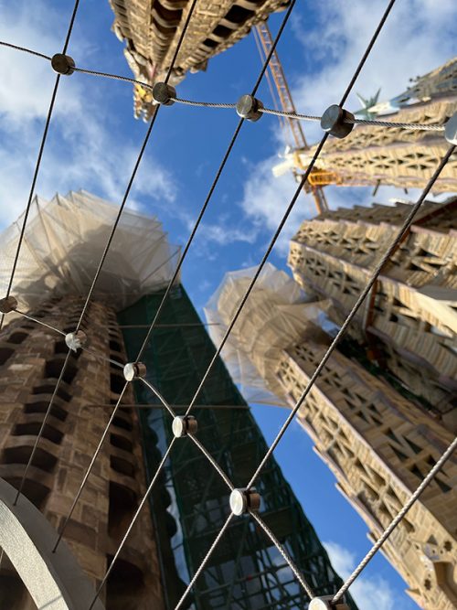 先端が間近に！