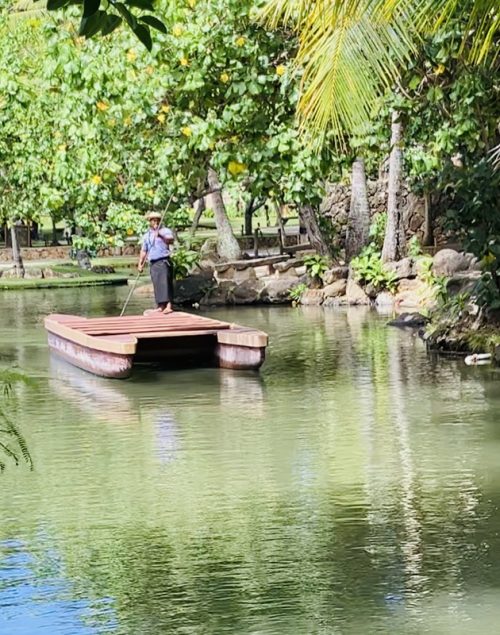 舟で園内を移動