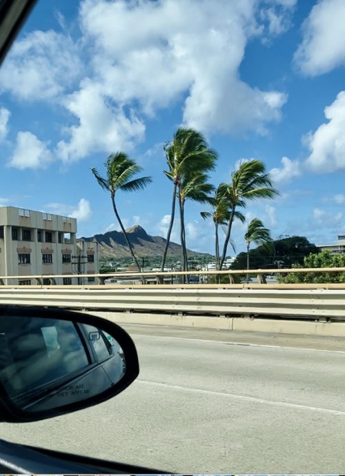 レンタカーで出発！