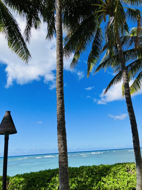 帰る前にもう一度、初日に来た場所へ