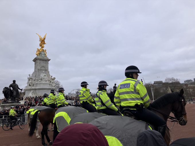 馬の立派な体躯に驚きました