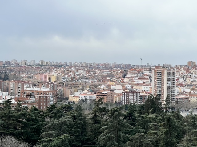 アルムデナ大聖堂からの景色