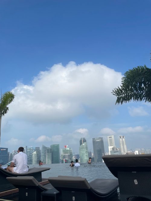 子供たちはずっと楽しそうでした！